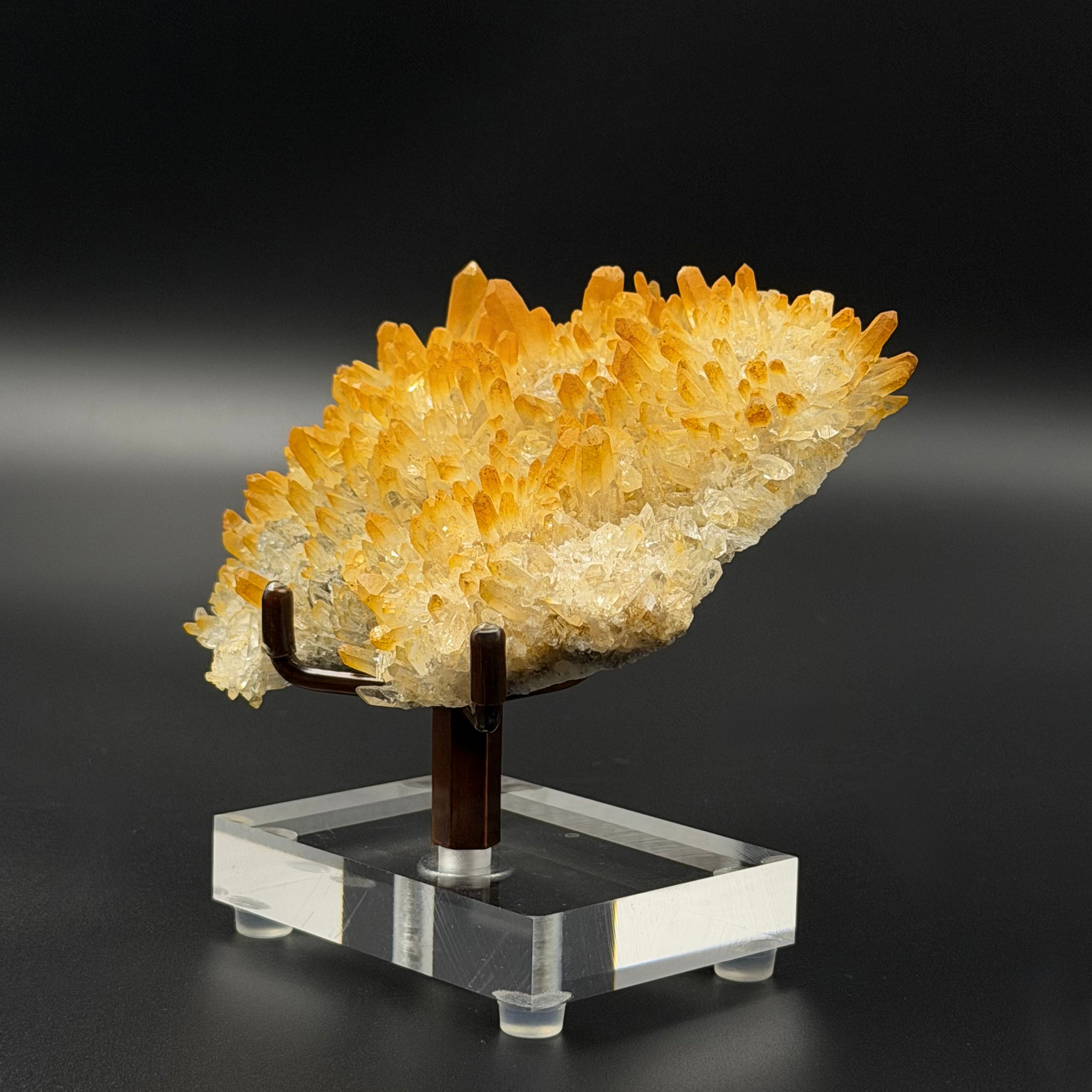Himalayan Yellow Skin Chrysanthemum Crystal Cluster